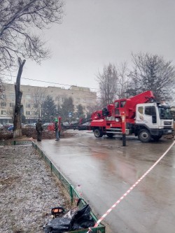 Санитарная обрезка деревьев вдоль улицы Энтузиастов